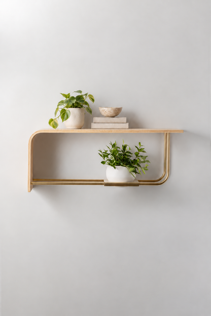 Curve Wall Shelf + Pot