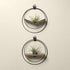 walnut v shaped air plant hanger and walnut wall shelf with black metal and charcoal pot