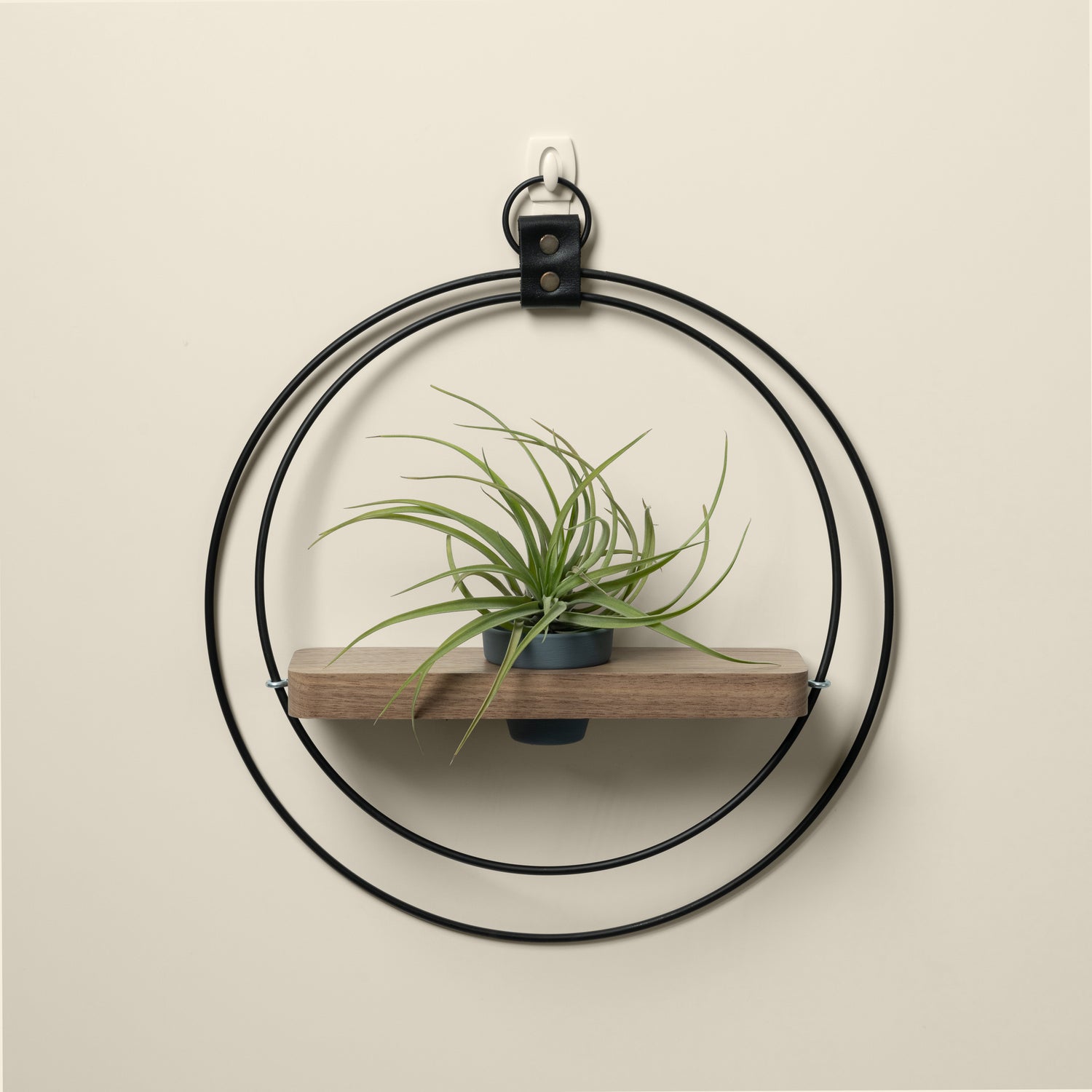 modern wall mounted plant shelf for air plants