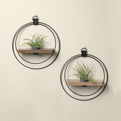 two wall mounted walnut plant shelves with black metal rings and charcoal colored pots