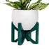 emerald green colored wood tabletop plant stand and white aluminum pot