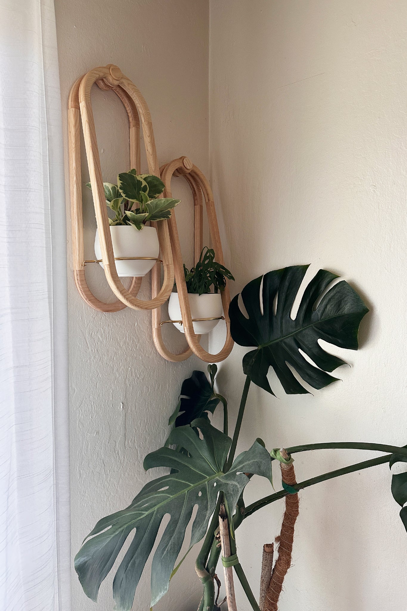 Frame Wall Planter duo on a light wall above a plant.