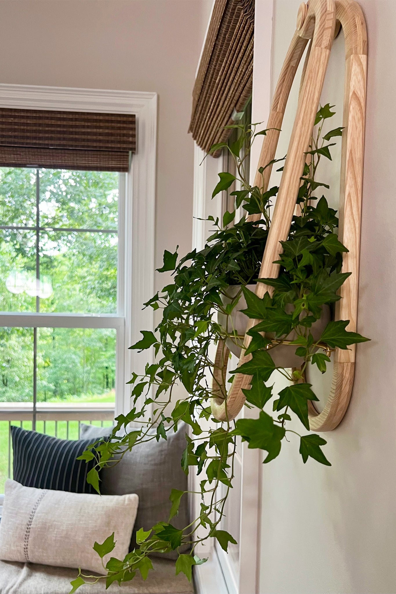 A Frame Wall Planter on the wall with decorative pillows and windows in the background