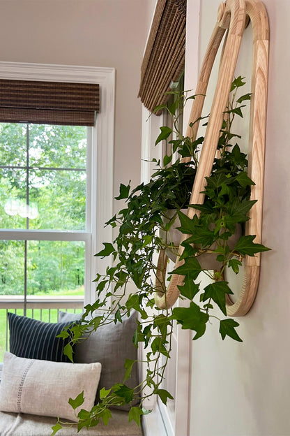 A Frame Wall Planter on the wall with decorative pillows and windows in the background