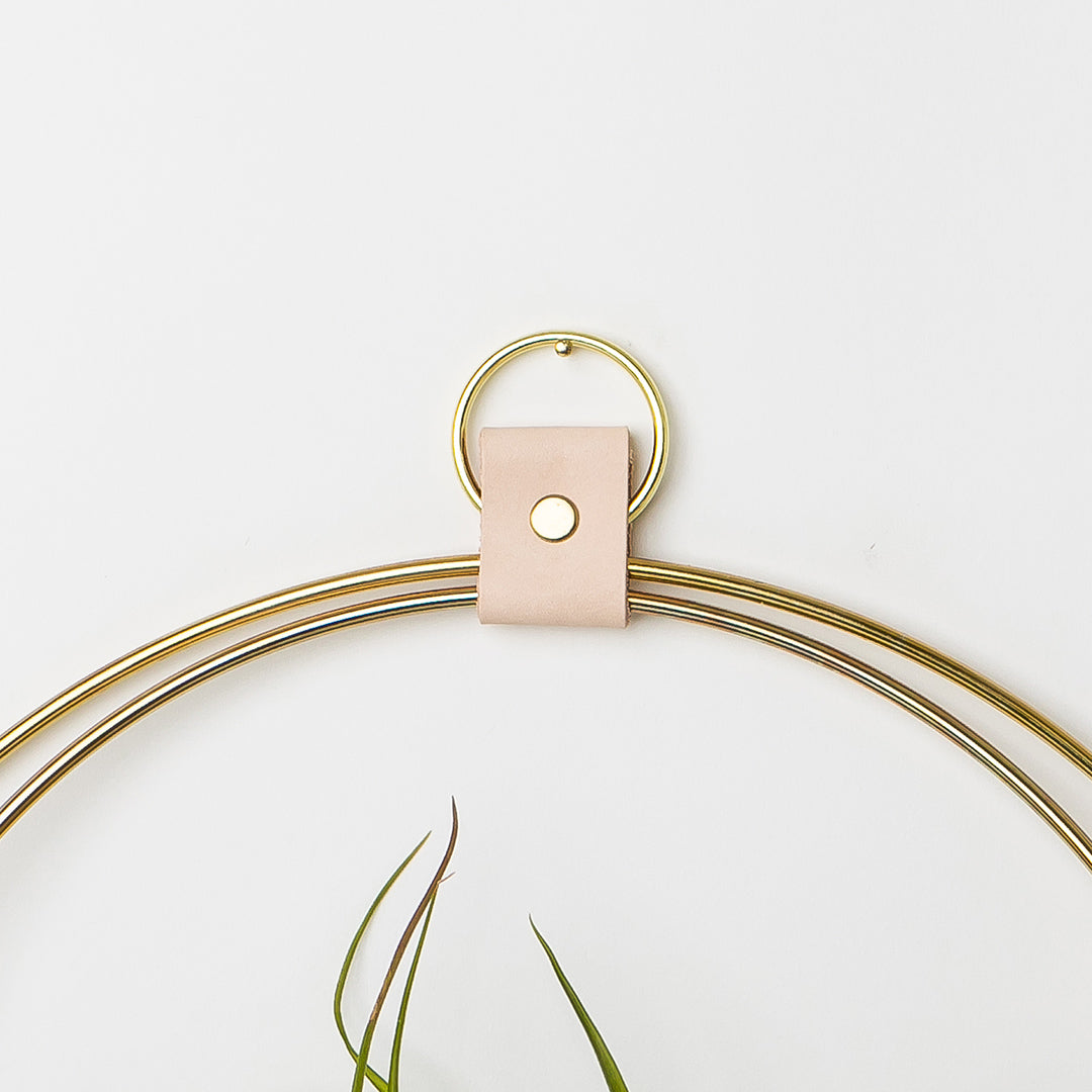 brass air plant holder Air Plant V-Hanger Duo