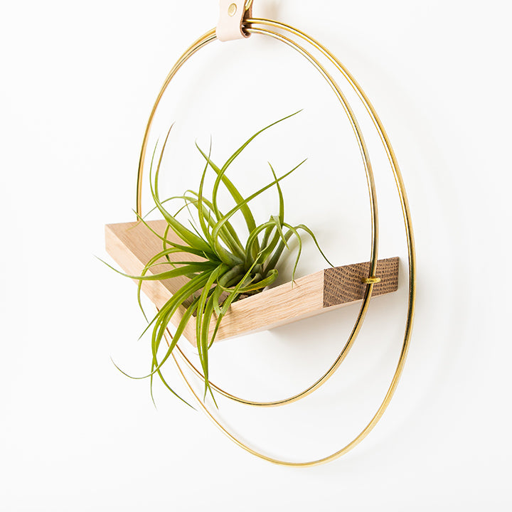 side view of large v shaped air plant hanger with gold metal