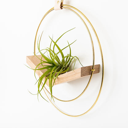 side view of large v shaped air plant hanger with gold metal