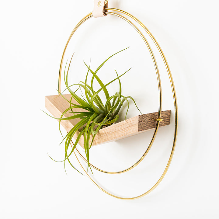 side view of large v air plant holder with gold metal