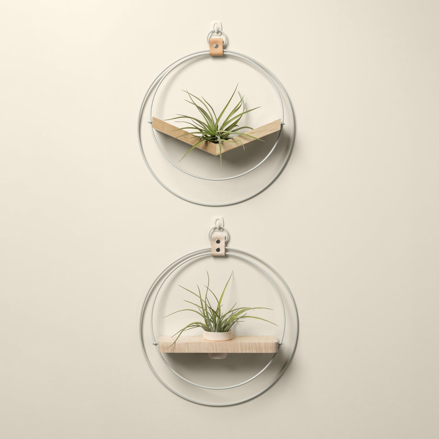 white oak v shaped air plant hanger and maple wall shelf with white metal and blush pot