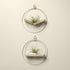 white oak v shaped air plant hanger and maple wall shelf with white metal and blush pot