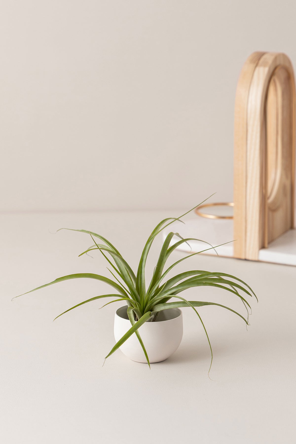 Bevel Bookend Set+ Pot