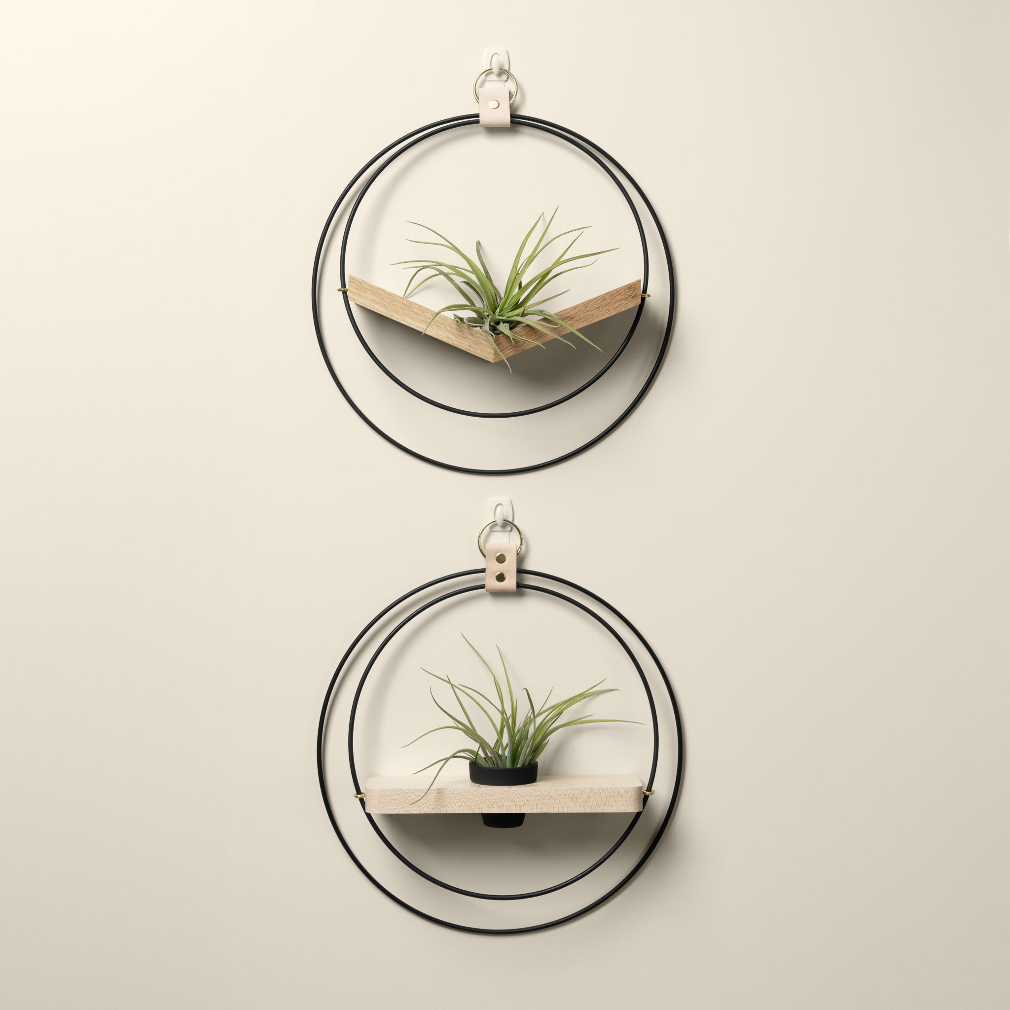 white oak v shaped air plant hanger and maple wall shelf with black and gold metal