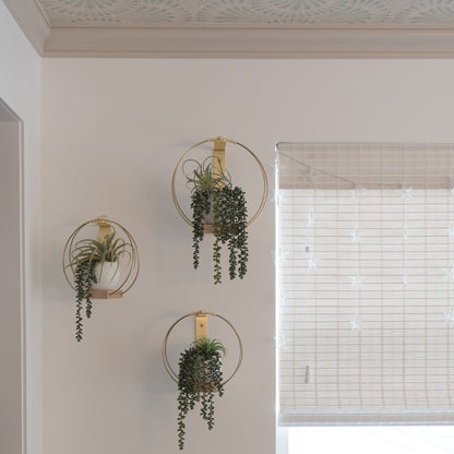 small medium and large plant hangers styled in a modern bedroom