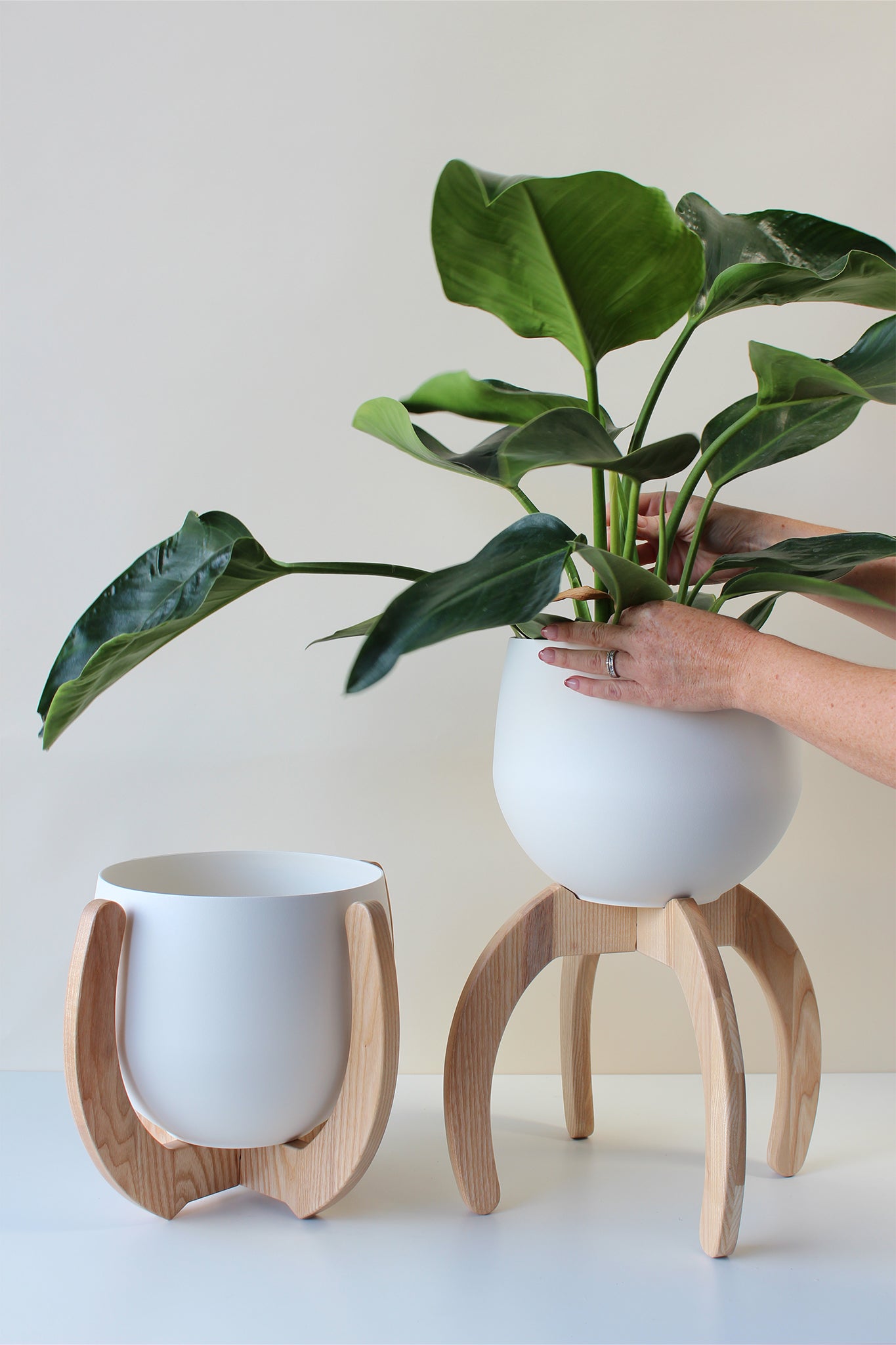 house plant stand Nested Plant Stand + Pot by Braid & Wood Design Studio