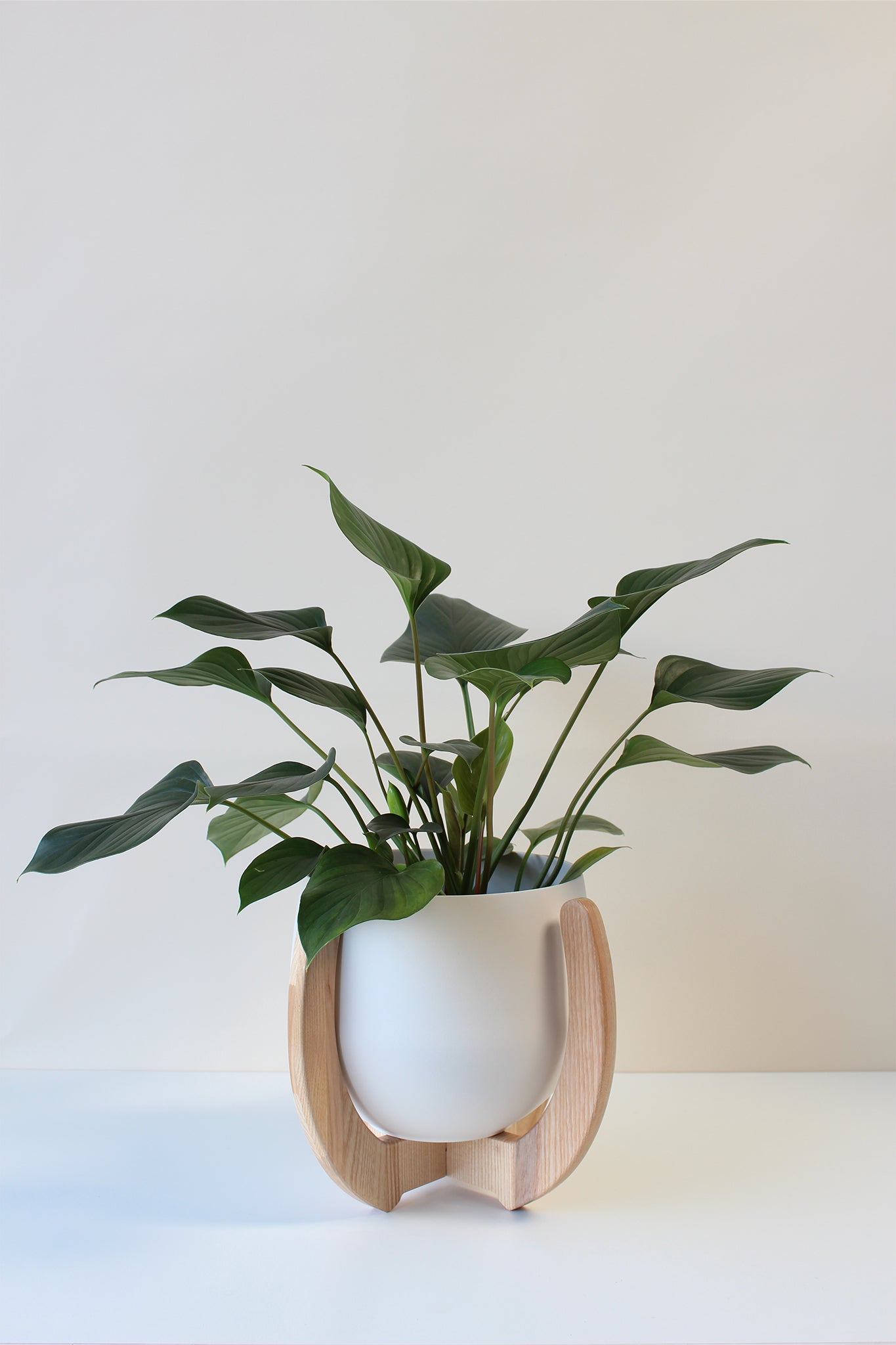 A Nested Plant Stand with a houseplant on a simple table.
