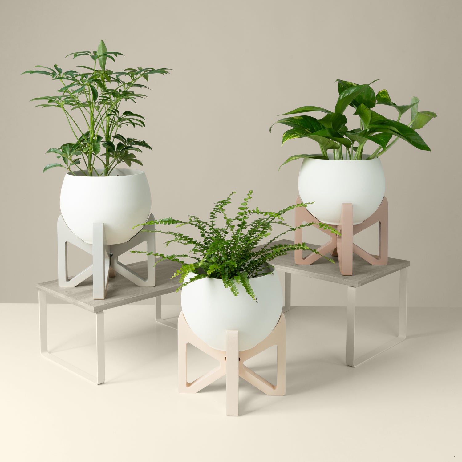 three modern wooden plant stands with white aluminum pots styled with houseplants