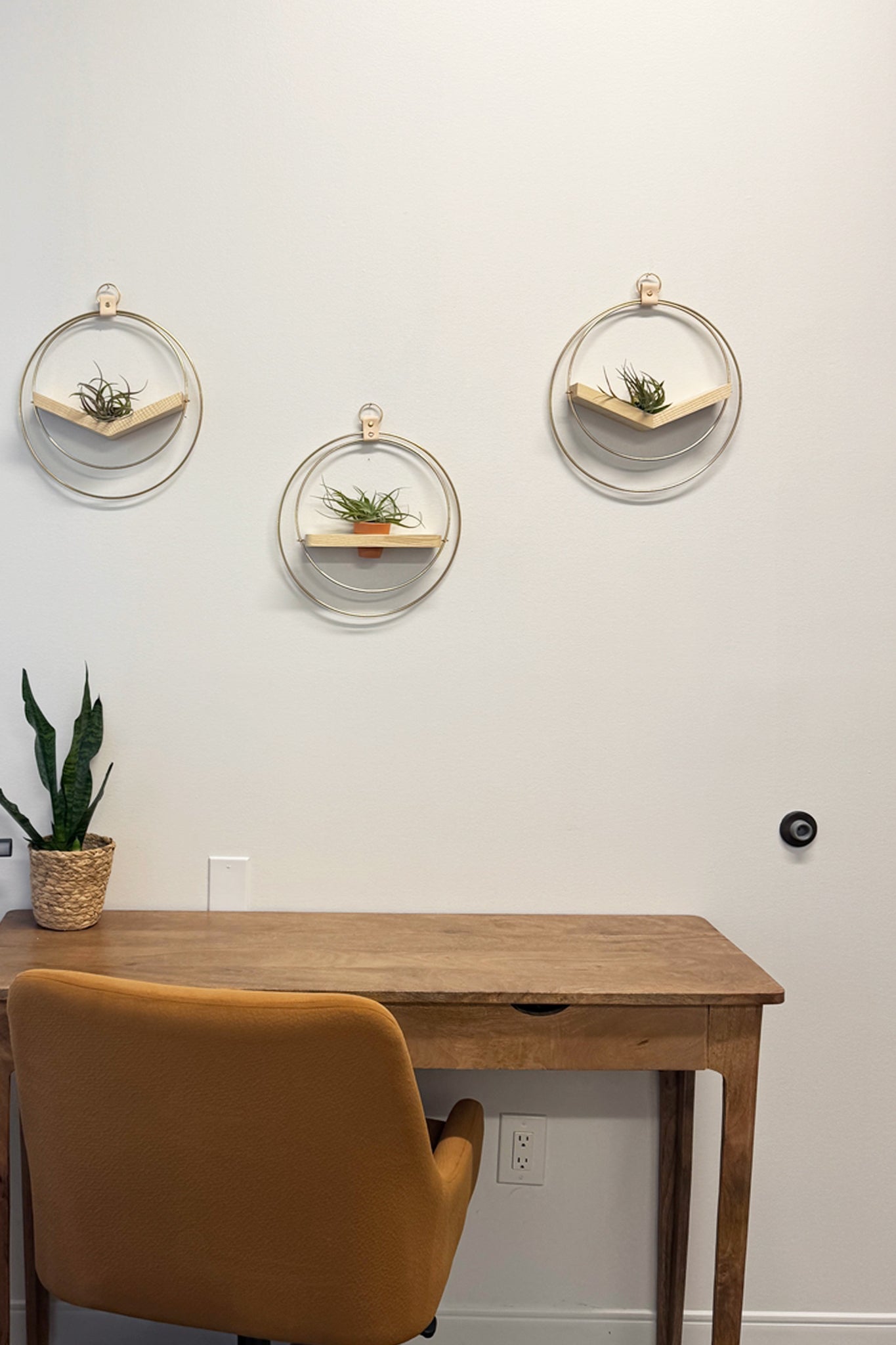 Wooden desk with a chair and wall-mounted plant holders on a white wall.