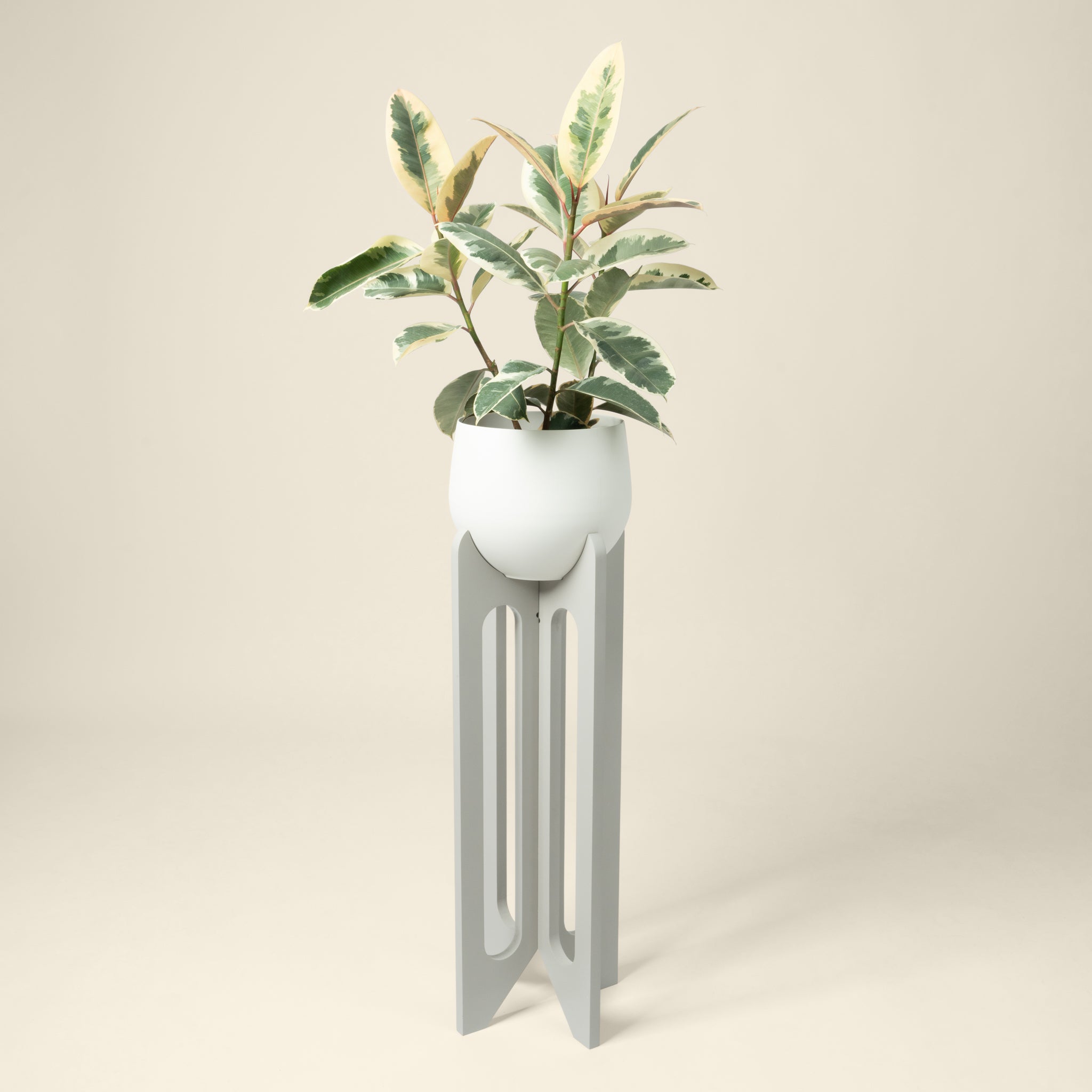 modern tall plant stand with pot and houseplant
