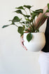 person holding large white spun aluminum houseplant pot for plant stand