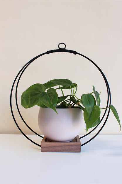 metal hoop hanging planter Plant Hanger (Light & Airy)