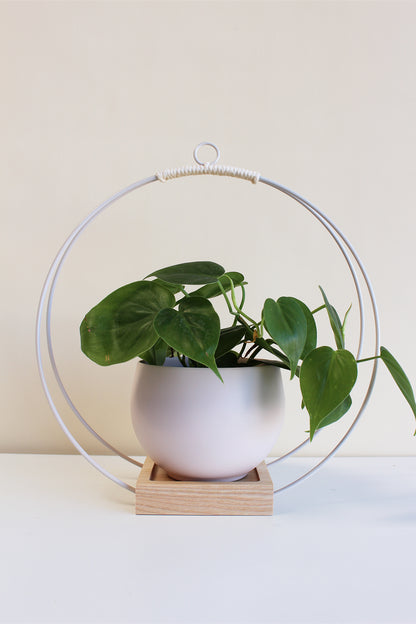 white hanging plant bracket Light Hanging Planter