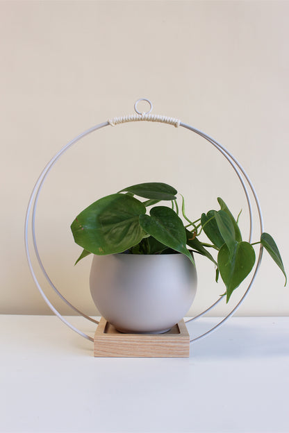 Light Hanging Planter