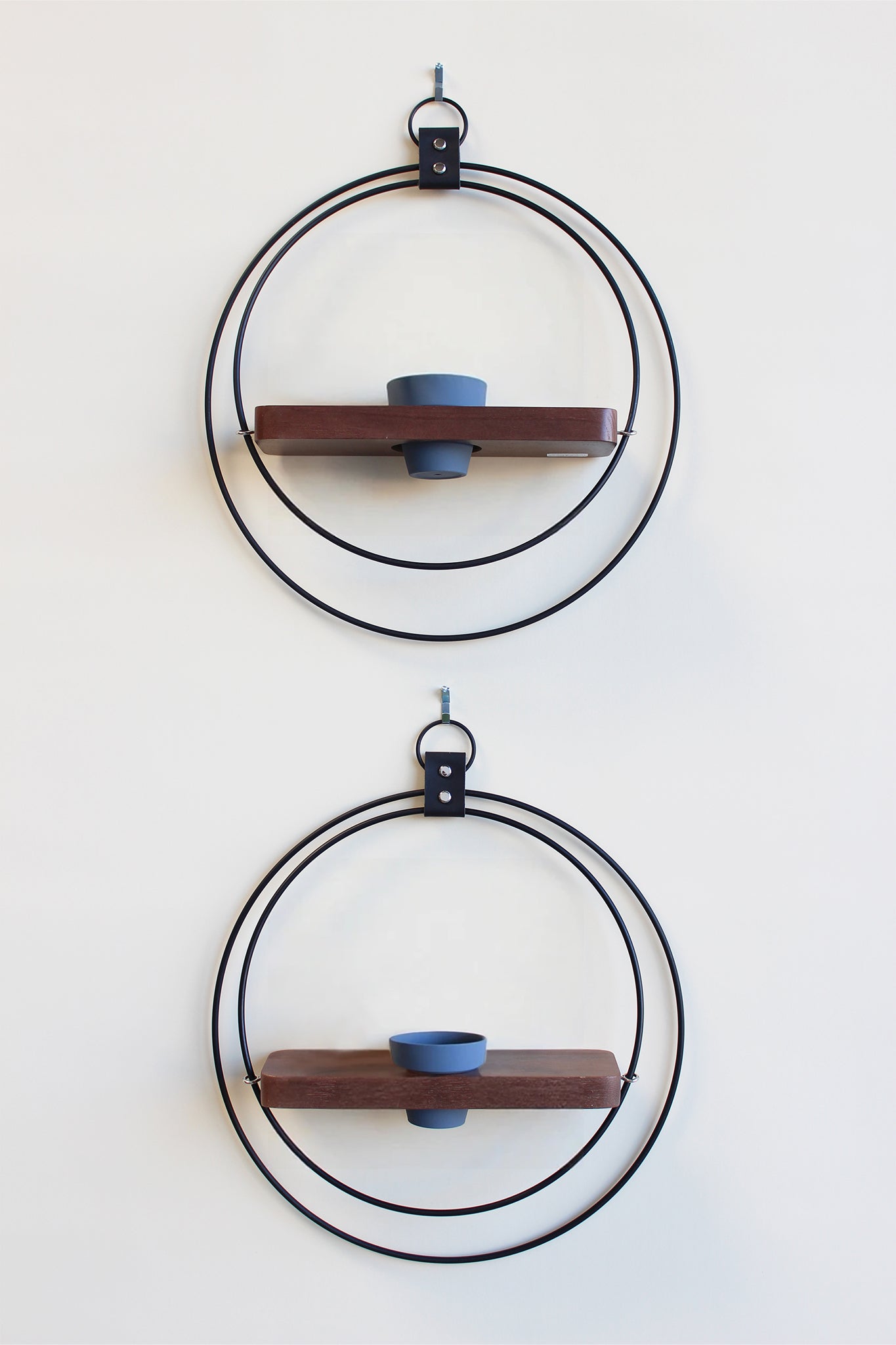 two circular wall mounted plant shelves in black metal with walnut wood and a charcoal terracotta pot on a white background
