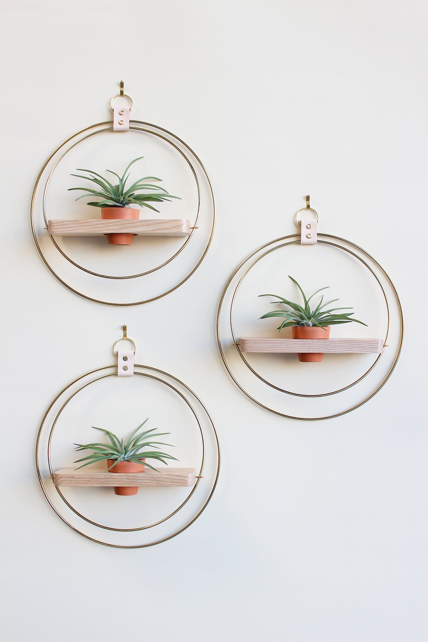modern wall decor for air plants gold circular wall mounted plant shelf light wood and mini terracotta pot