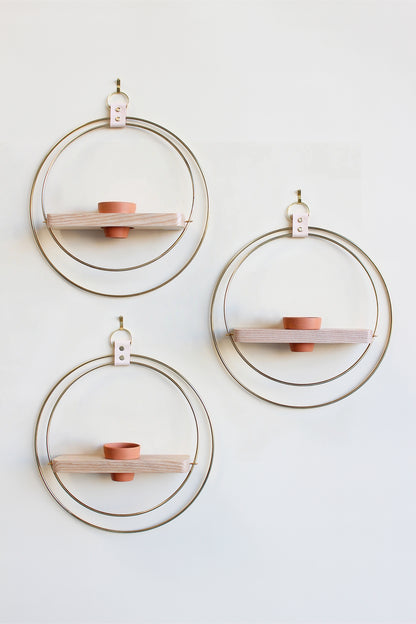three gold circular plant wall mounted plant shelves with mini terracotta pot on a white background