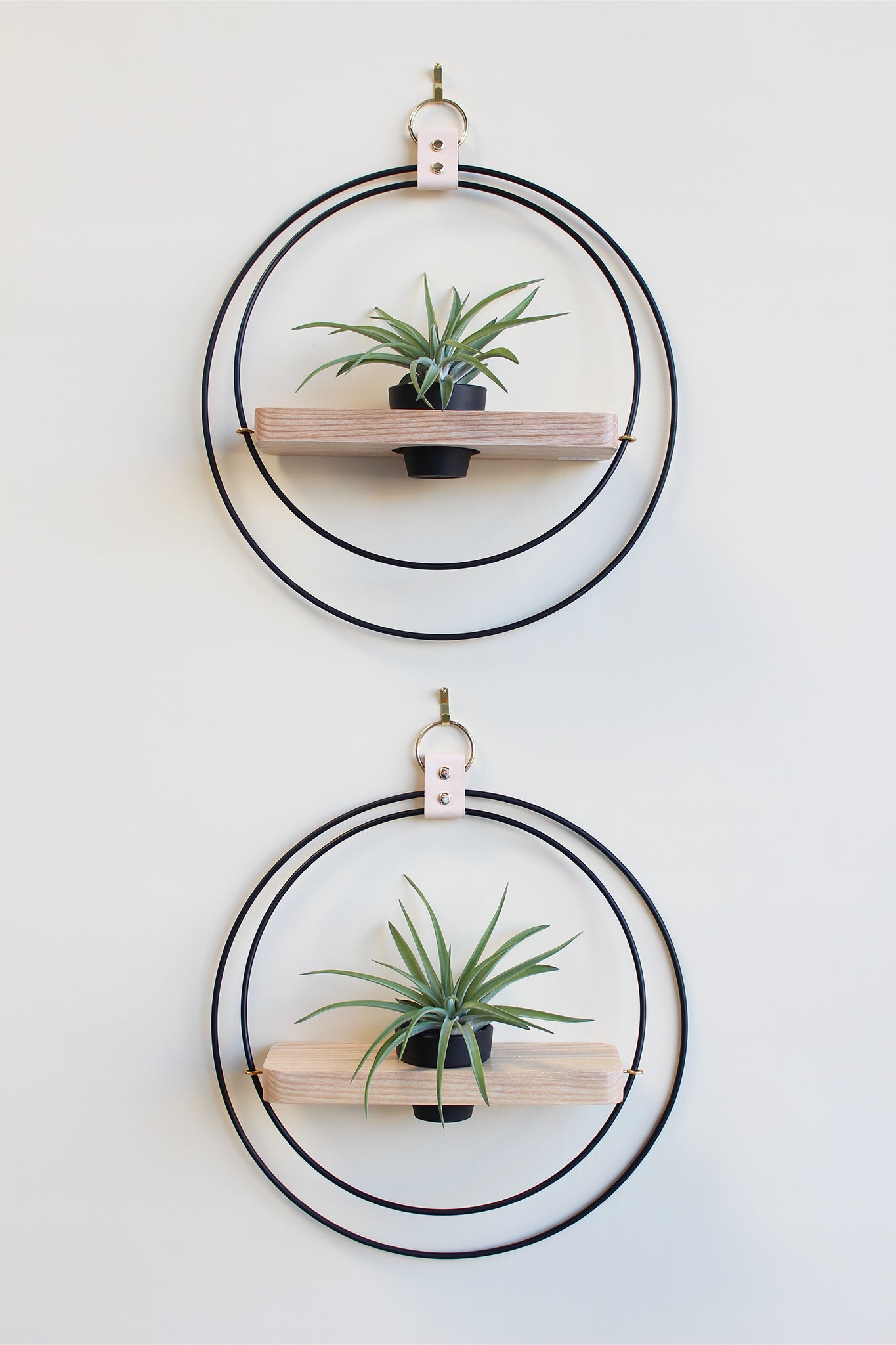 modern wall mounted matte black plant shelf for air plants