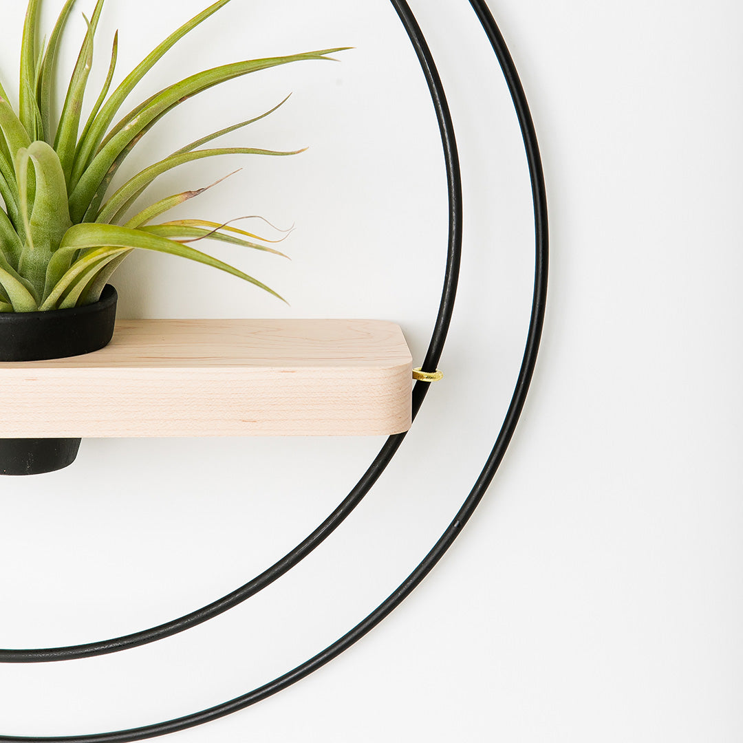 up close view of black and gold metal plant shelf with maple base