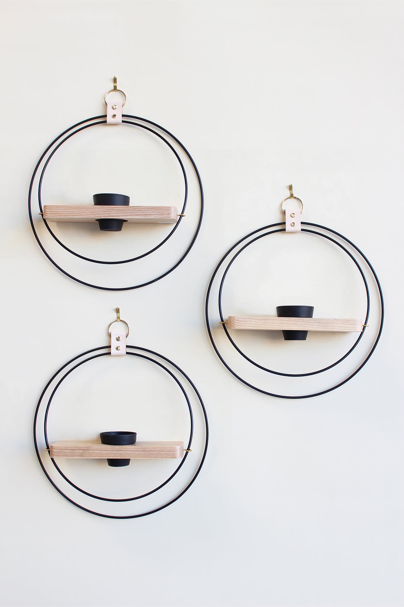 three gold circular plant wall mounted plant shelves with mini black terracotta pot on a white background