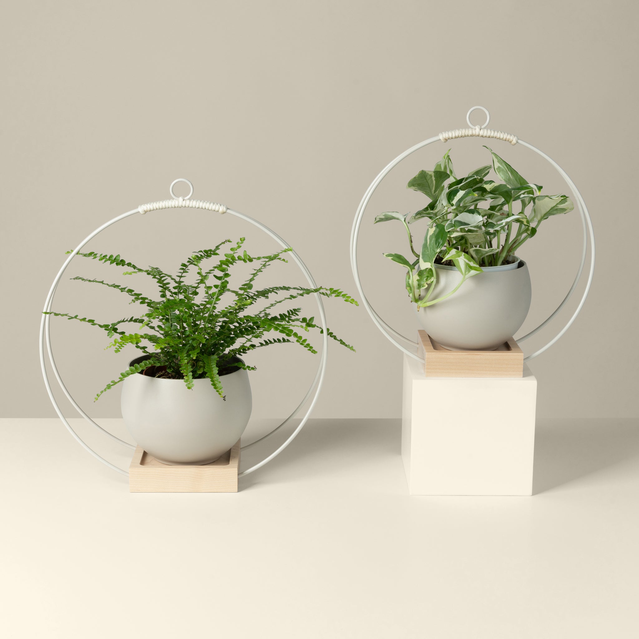 Modern Plant Stands by Braid & Wood Design Studio