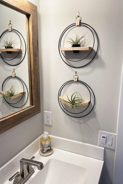 Bathroom with circular wall shelves holding plants, a sink, and mirror.