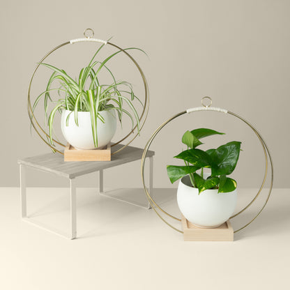 white aluminum pots on two large maple wood plant hangers with gold metal
