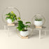 three white pots on small medium and large maple wood plant hangers with gold metal