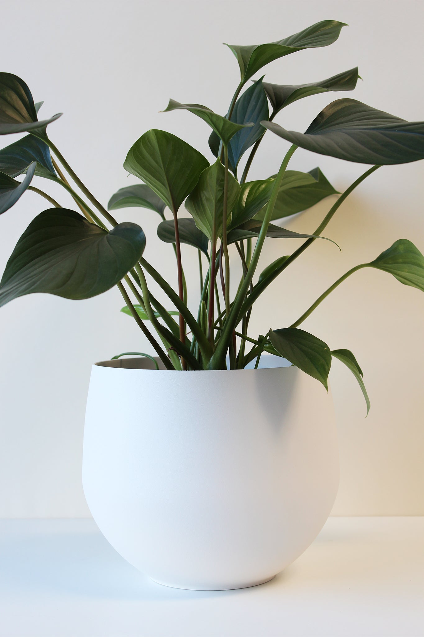 large plant stand and pot Modern Aluminum Plant Pot — Minimalist Indoor Planter Pot for Plant Stands & Pedestals