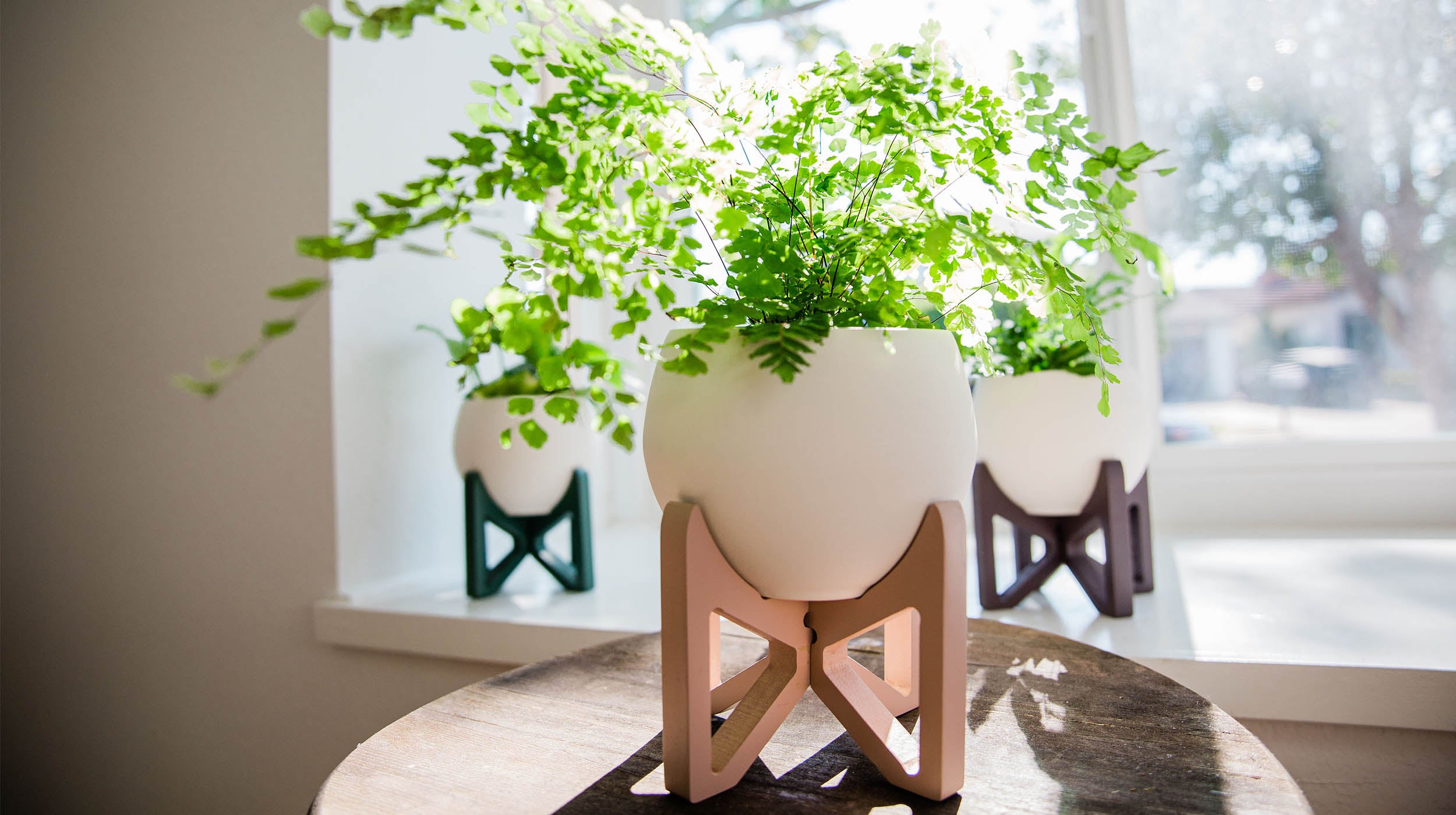 three braid & wood tabletop plant stands with plants styled next to window