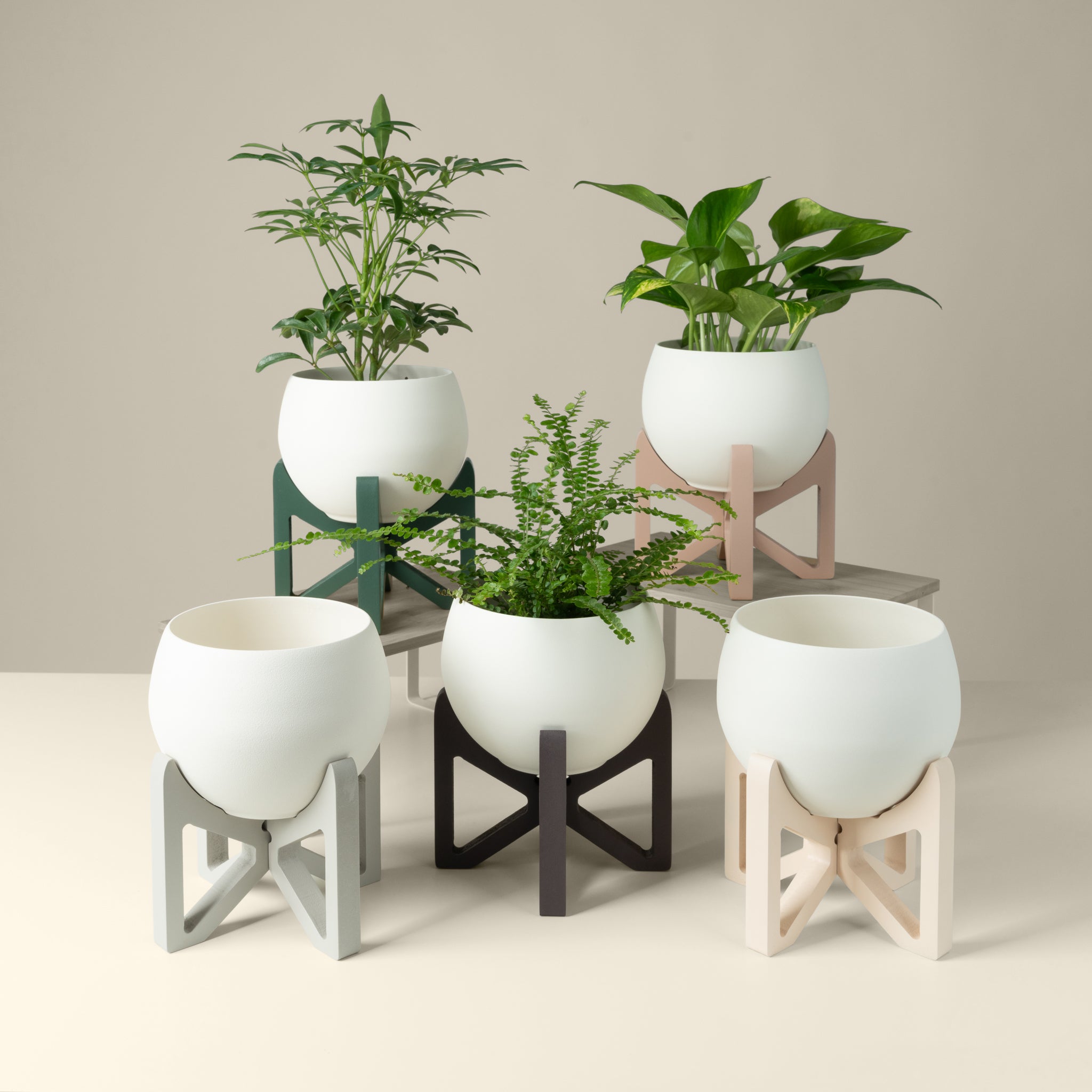 modern wood plant stand with white aluminum houseplant pot displayed in five colors