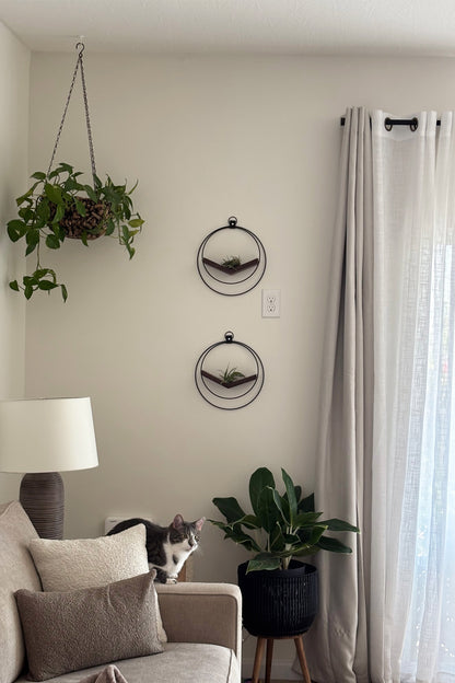 Living room with a couch, lamp, plants, and wall decorations, including two Air Plant V-Hangers styled vertically