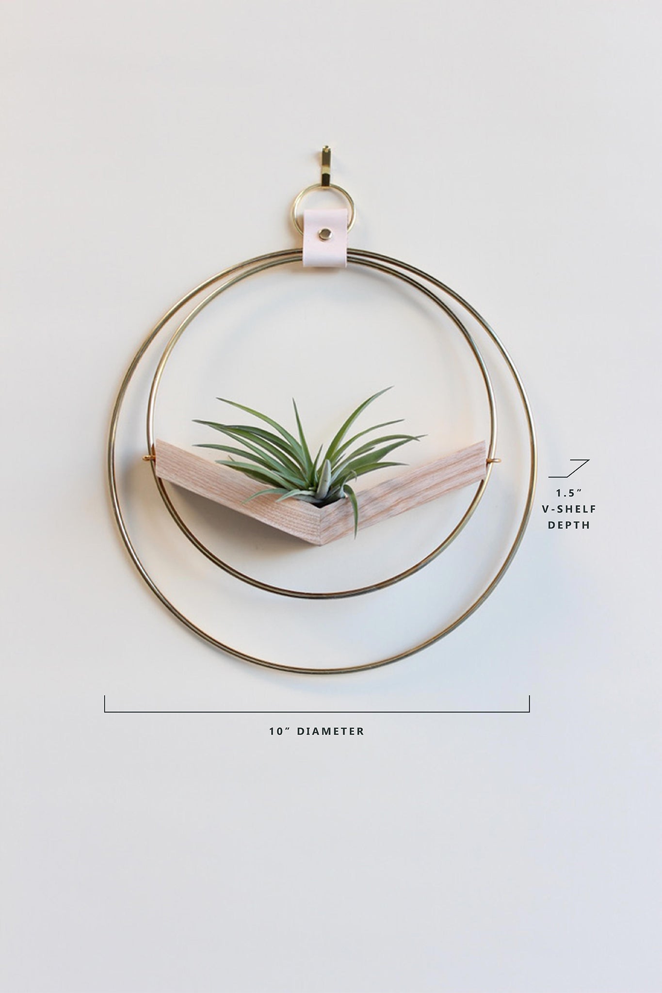 circle plant hanger Air Plant V-Hanger Trio