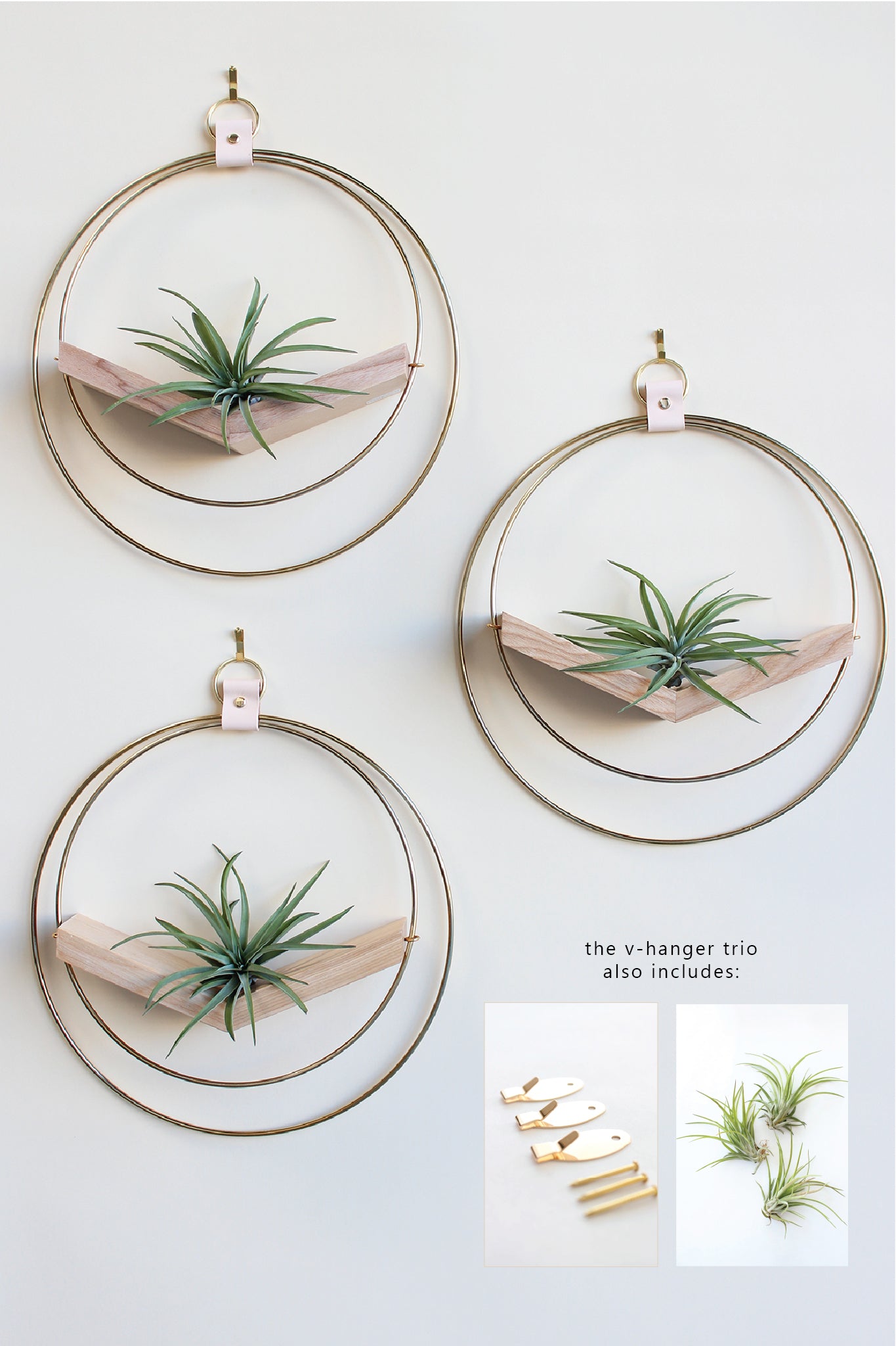 Air Plant V-Hanger Trio