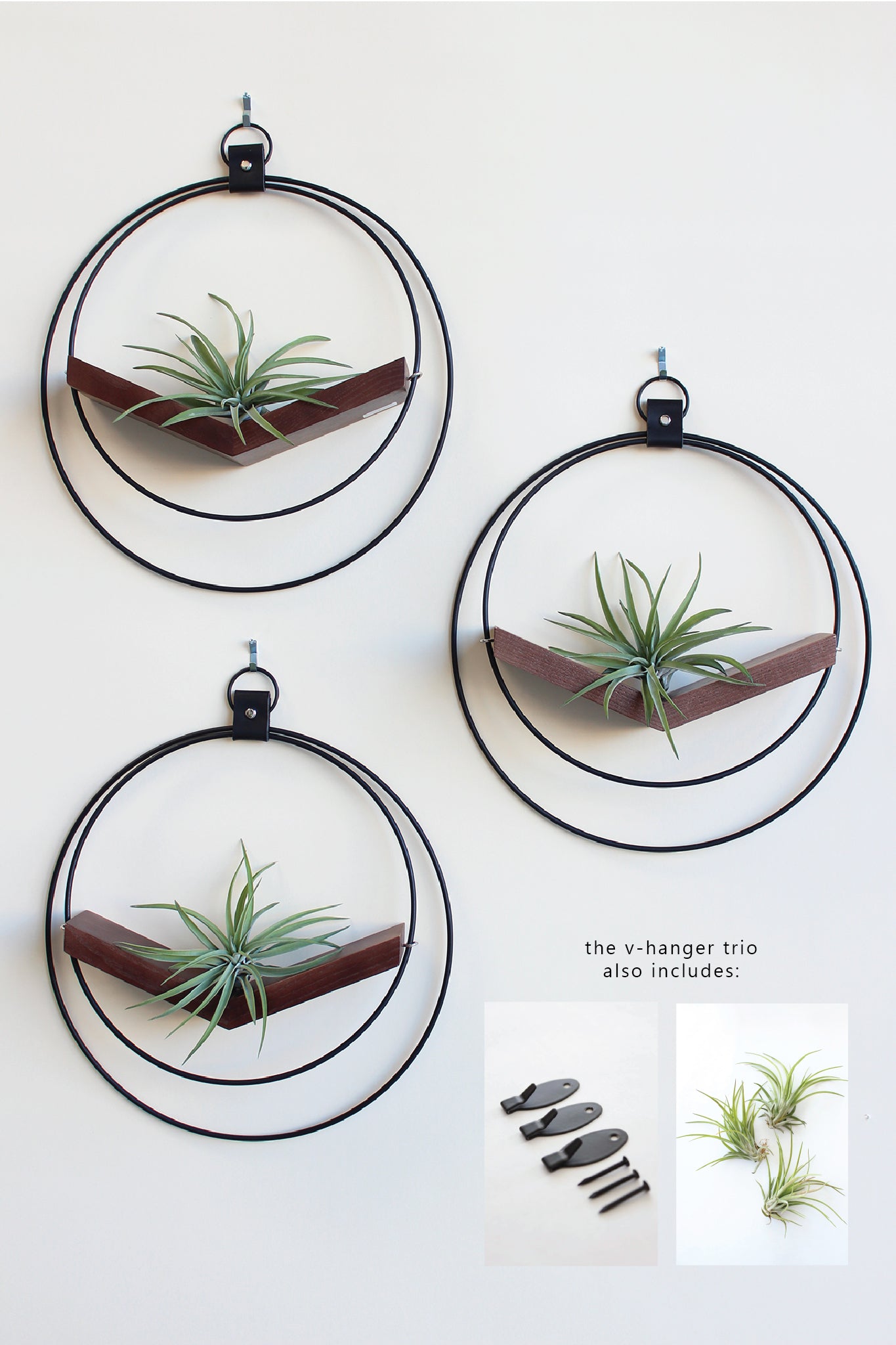 Air Plant V-Hanger Trio