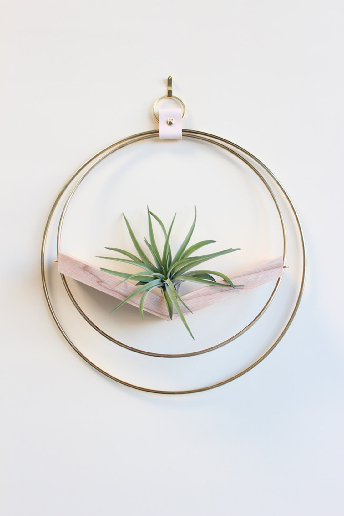 modern wall mounted large v shaped air plant hanger with gold rings and light wood v shelf