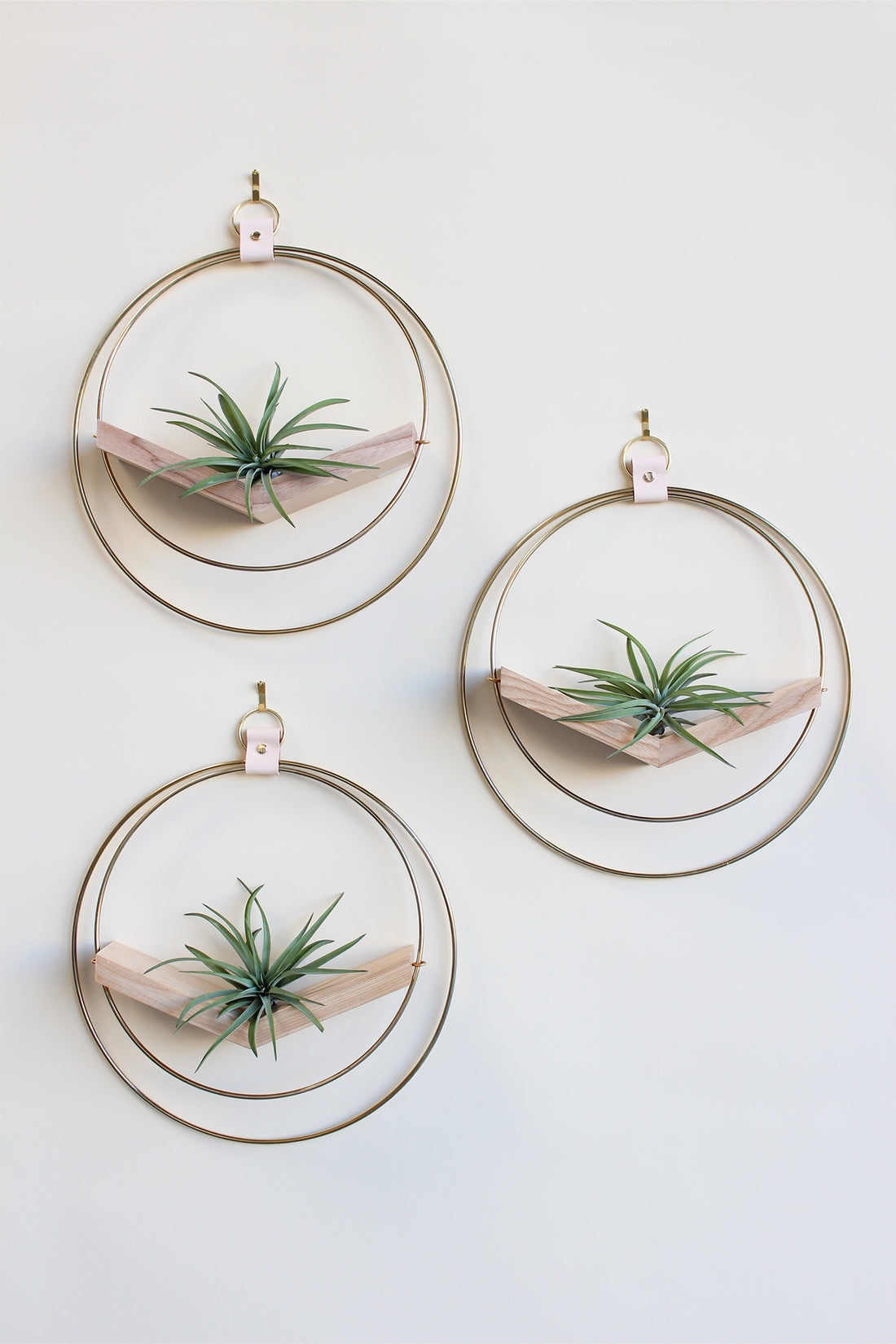 modern wall decor for air plants, large circular hanging planter with light wood v-shelf and gold rings