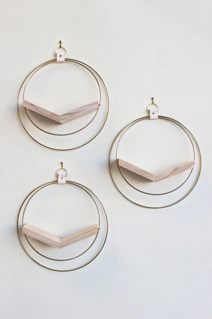 three gold circular wall mounted air plant holders for wall decor on white background