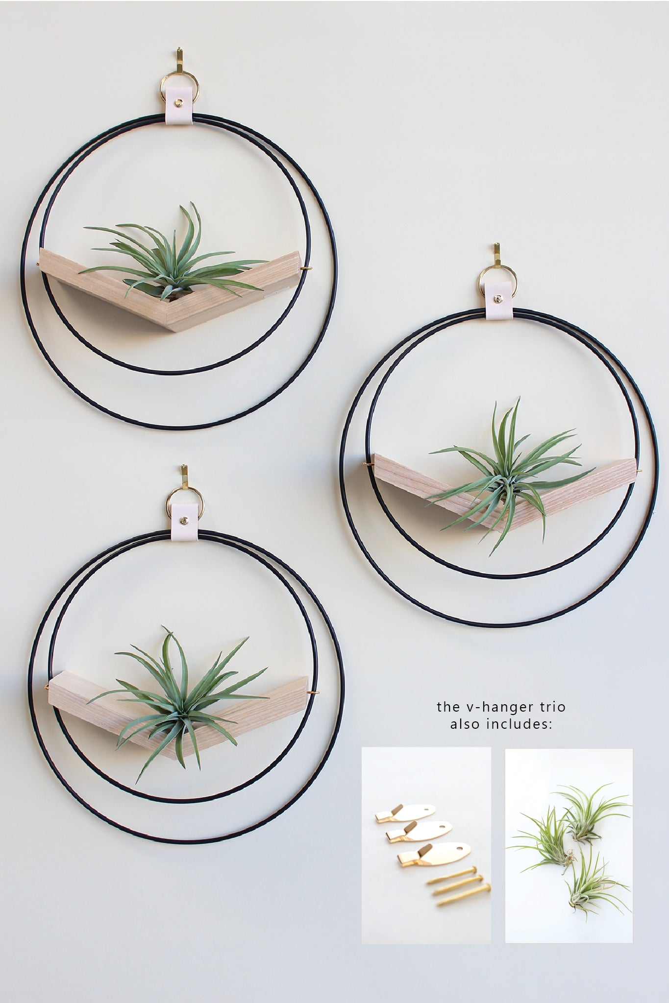 Air Plant V-Hanger Trio