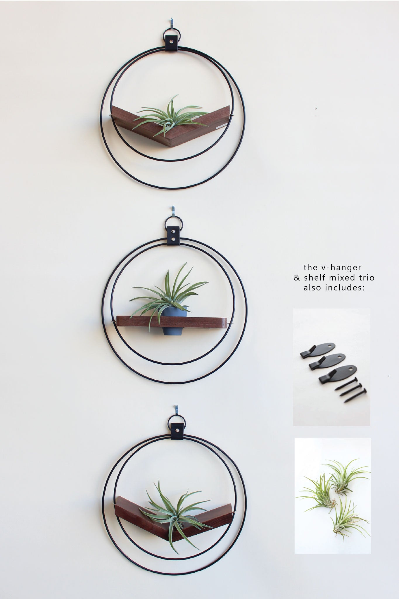 Air Plant V-Hanger &amp; Shelf Mixed Trio