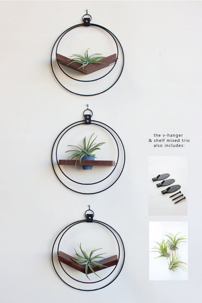 Air Plant V-Hanger &amp; Shelf Mixed Trio