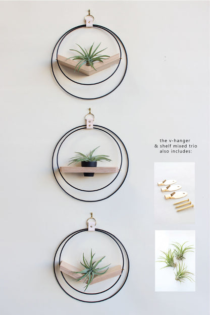 Air Plant V-Hanger &amp; Shelf Mixed Trio